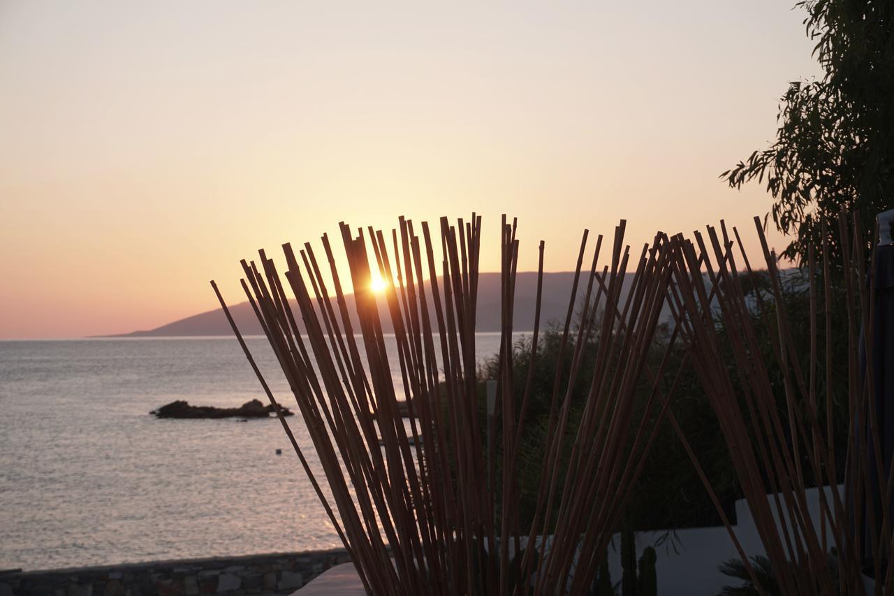 Pyrthea Houses Koufonisia Buitenkant foto